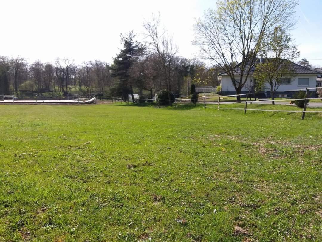 Repos Rouge-Plaisir Au Milieu Des Chevaux Kembs Exterior foto